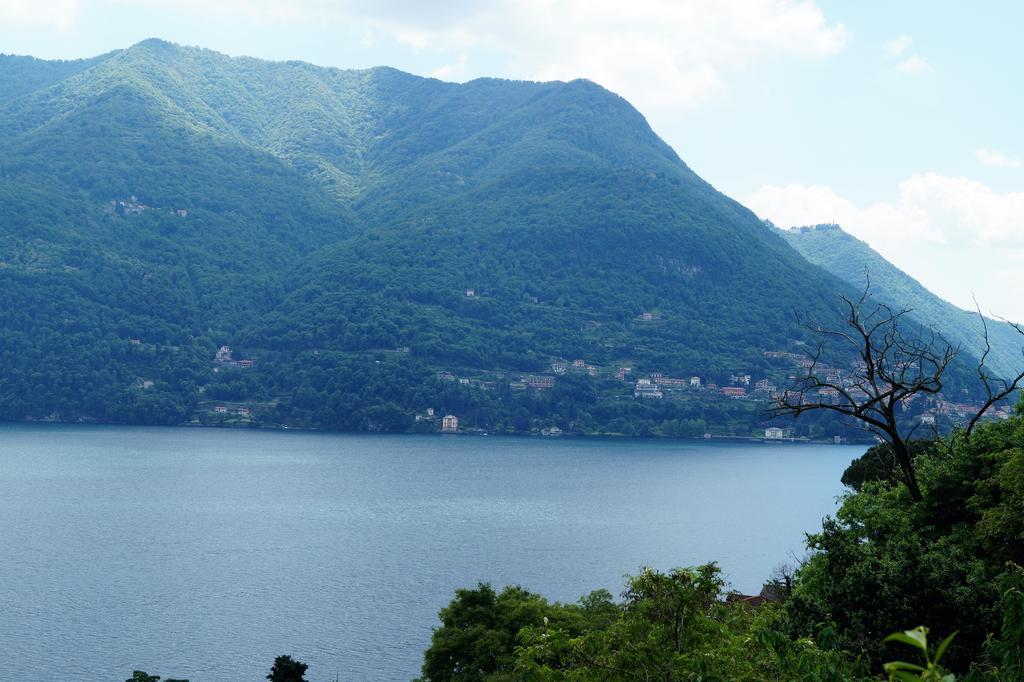 Residenza Andrea Olga Διαμέρισμα Laglio Εξωτερικό φωτογραφία