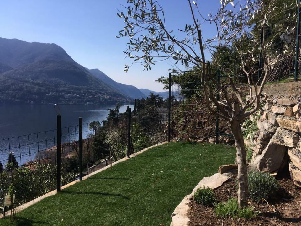 Residenza Andrea Olga Διαμέρισμα Laglio Εξωτερικό φωτογραφία